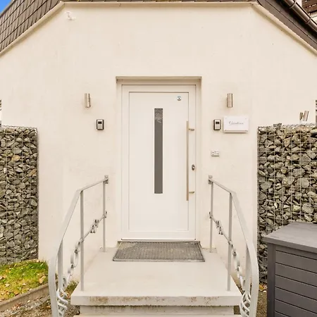 Apartment Greenhouse Living Fagus Mit Terrasse Und Feuerstelle - 6 Minuten Nach Winterberg - 4 Minuten Zur Ruhrquelle - Wandern - Mountainbike Fahren - Reisen Mit Hund & Geniessen *